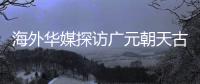 快排公司十年历程，霸屏兔 seo 的崛起与坚守