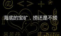 海底的宝矿�，捞还是不捞？｜世界海洋日