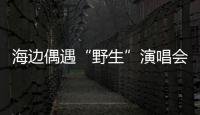 海边偶遇“野生”演唱会！珠海的夜晚 总有意想不到的惊喜