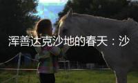 浑善达克沙地的春天：沙窝子里孕生机，年年有不同