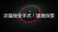 浓眉接受手术！雄鹿探索签换库明加，瓦兰首度发声，约基奇新决定
