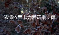 浓情依莱卡为爱筑巢，健康全铝家居感恩天下母亲!