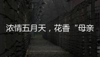 浓情五月天，花香“母亲节”！担杆镇海岛之家开展母亲节插花活动