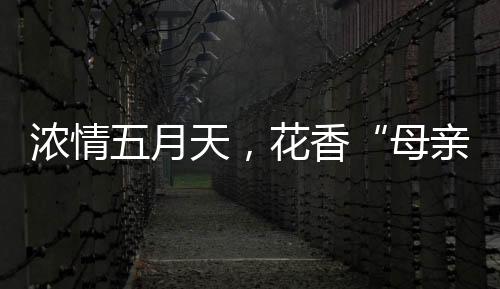 感恩母爱”母亲节插花活动