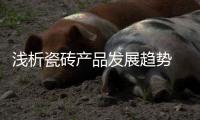 快排公司十年历程，霸屏兔 seo 的崛起与坚守