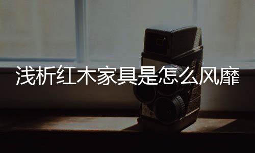 传承历史文脉的红木精神特质
