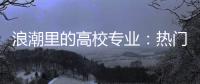 快排公司十年历程，霸屏兔 seo 的崛起与坚守