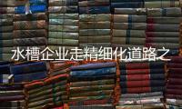 快排公司十年历程，霸屏兔 seo 的崛起与坚守