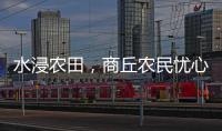 水浸农田
，商丘农民忧心秋收秋种