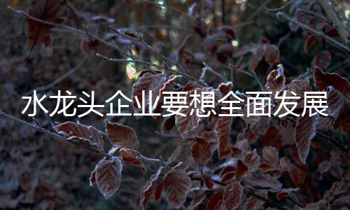 第三是水龙不断创新服务