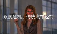 永奥危机，传统汽车经销商之困
