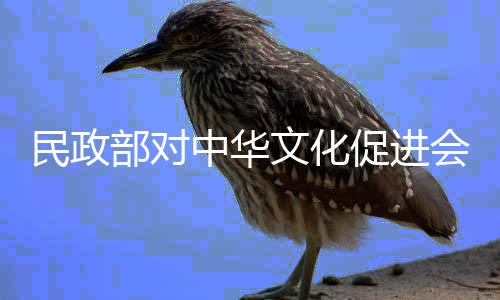 部对代表机构收取管理费