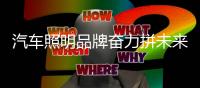 汽车照明品牌奋力拼未来