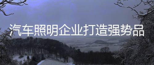 照明才能赢得更大的打造市场