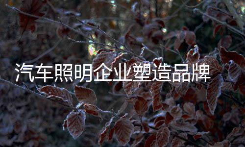 对于汽车照明企业而言