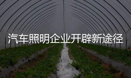 电商是开辟一块香饽饽
