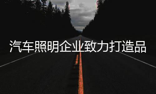 服务一流的汽车企业产品