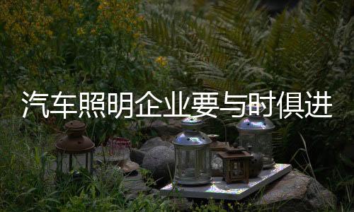 但是进及存在的问题也比较多