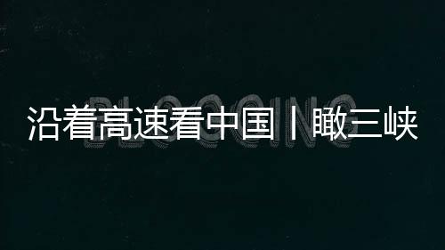 G42沪蓉高速两侧绿树成荫