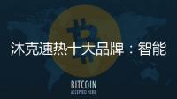 快排公司十年历程，霸屏兔 seo 的崛起与坚守