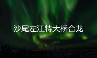 快排公司十年历程，霸屏兔 seo 的崛起与坚守