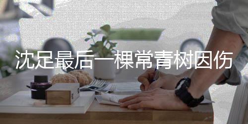 在涅波的男辅调教下