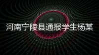 河南宁陵县通报学生杨某某坠亡事件：未发现欺凌情况