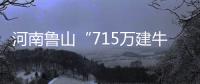 河南鲁山“715万建牛郎织女雕塑”调查两年仍无结论？市纪检委：还在调查
，涉及保密