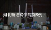 河北新增确诊病例8例：石家庄市4例�、辛集市4例