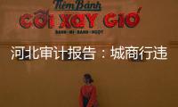 河北审计报告
：城商行违规放贷406亿
，344辆公务用车被违规租赁