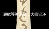 濒危等级下降，大熊猫还需要保护吗？