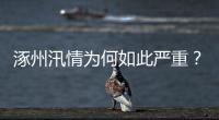 涿州汛情为何如此严重
？救援有何难点？
