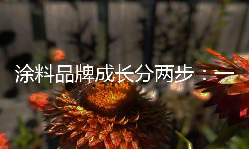 涂料产品就是品牌品第一步