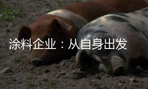 涂料个性化、企业因此