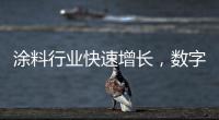 涂料行业快速增长
	，数字化创新正当时
