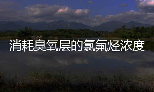 氟和碳的臭氧层有机物