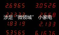 涉足“微领域” 小家电企业需找准方向