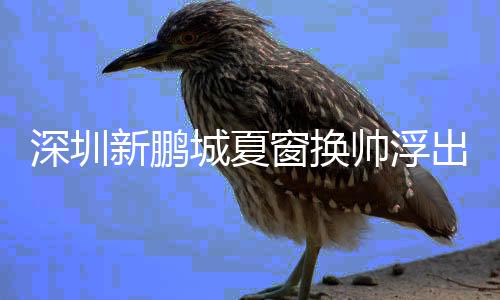 深圳帅浮深圳选择了换帅