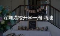 快排公司十年历程，霸屏兔 seo 的崛起与坚守
