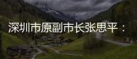 深圳市原副市长张思平：国有企业要有所为有所不为