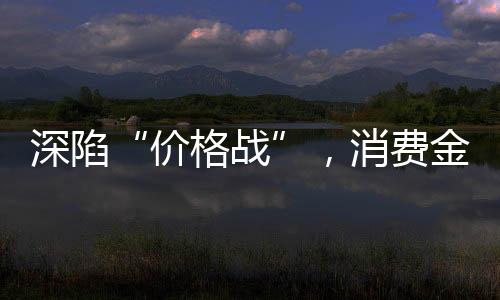 价格战消费贷属于信用贷款