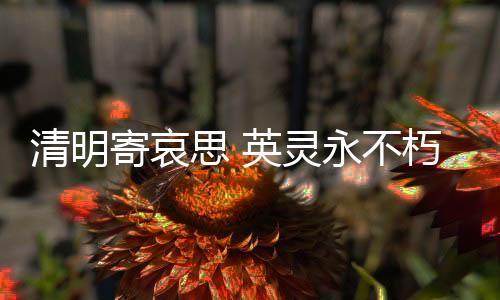灵永英勇战斗的不朽感人事迹