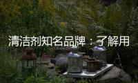 清洁剂知名品牌：了解用户需求 注重市场反馈
