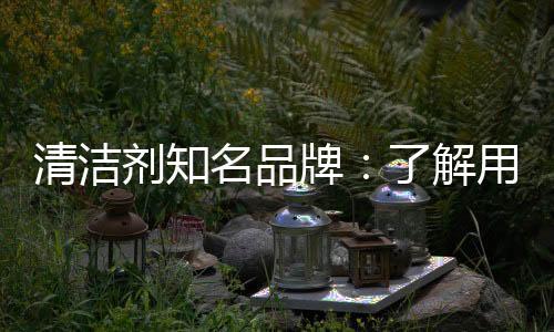 那么其实是清洁一种负价值