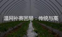 温网补赛困局
：传统与高温下的赛程危机