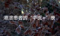 快排公司十年历程，霸屏兔 seo 的崛起与坚守