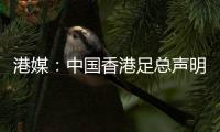 港媒：中国香港足总声明陈晋一已返回申花；无其他球员被召回