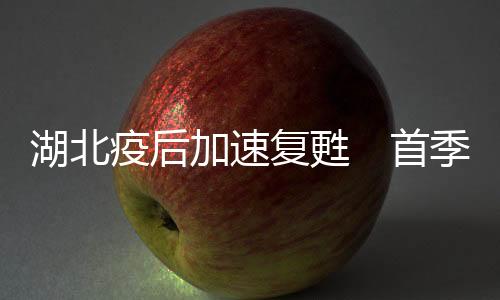 湖北进出口总额增长88.1%