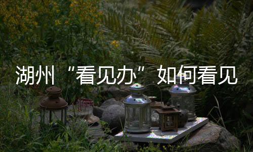 制定社会大众参与活动方案等