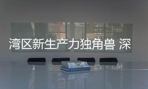 独角兽深论坛上